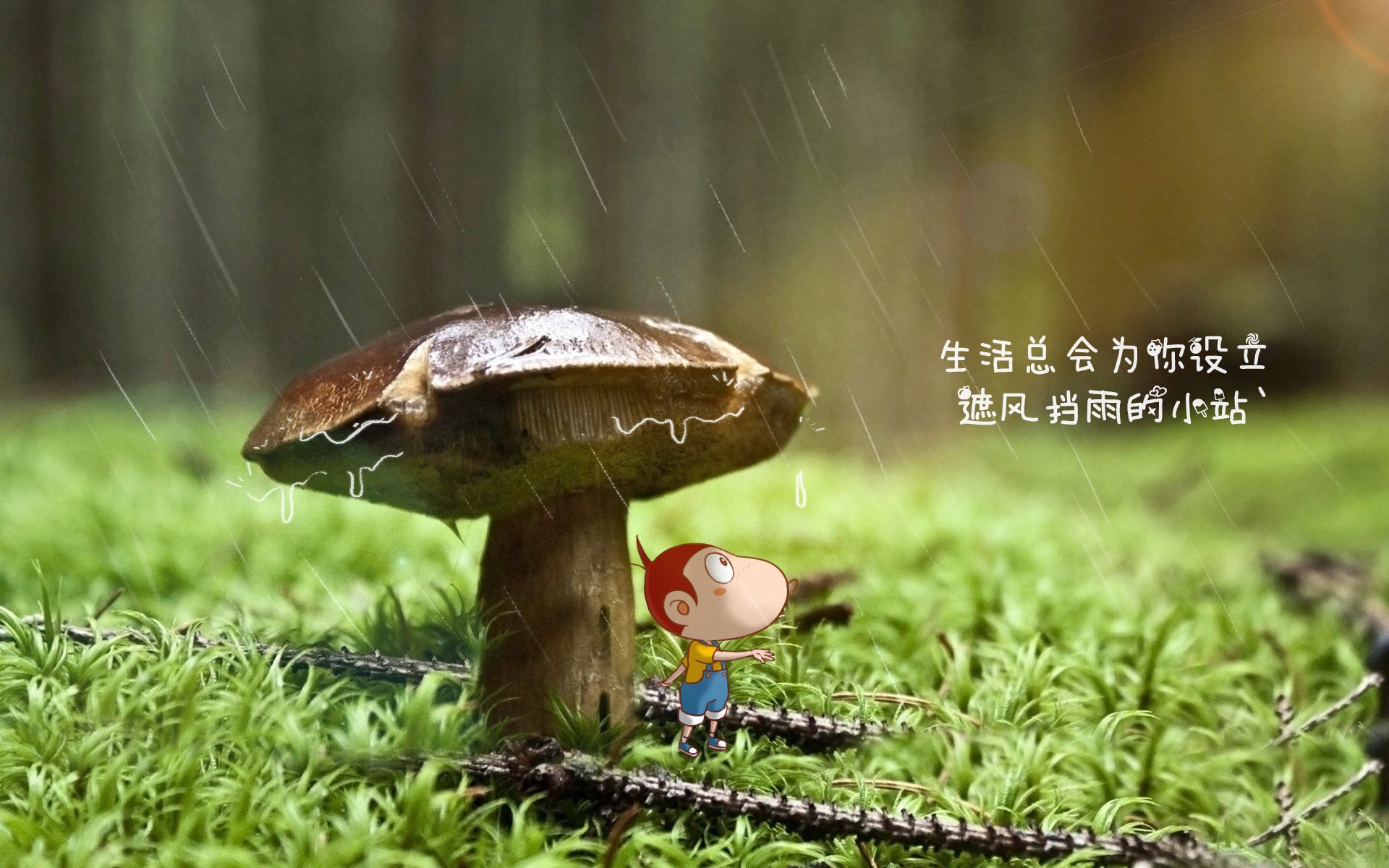 棉纺材质的衣服怎么样啊知乎（棉纺面料的优缺点）
