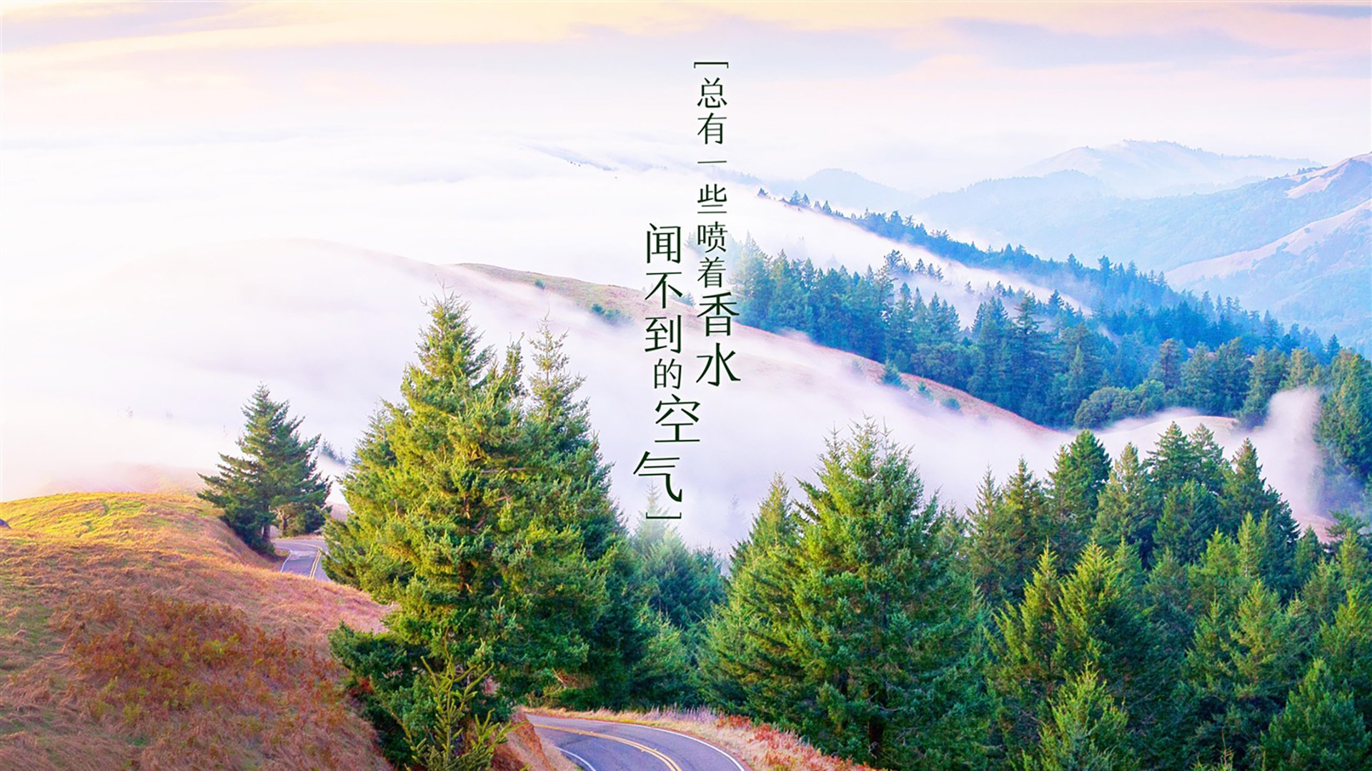 化纤厂生产车间安全注意事项（化纤厂操作工安全操作规程）